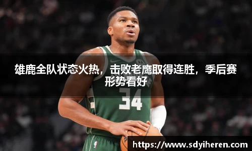 VSport-胜利因您更精彩
