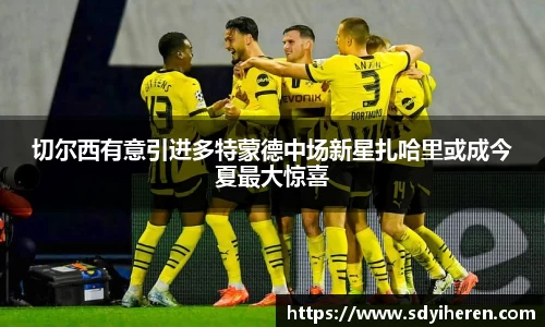切尔西有意引进多特蒙德中场新星扎哈里或成今夏最大惊喜