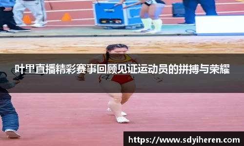 V体育